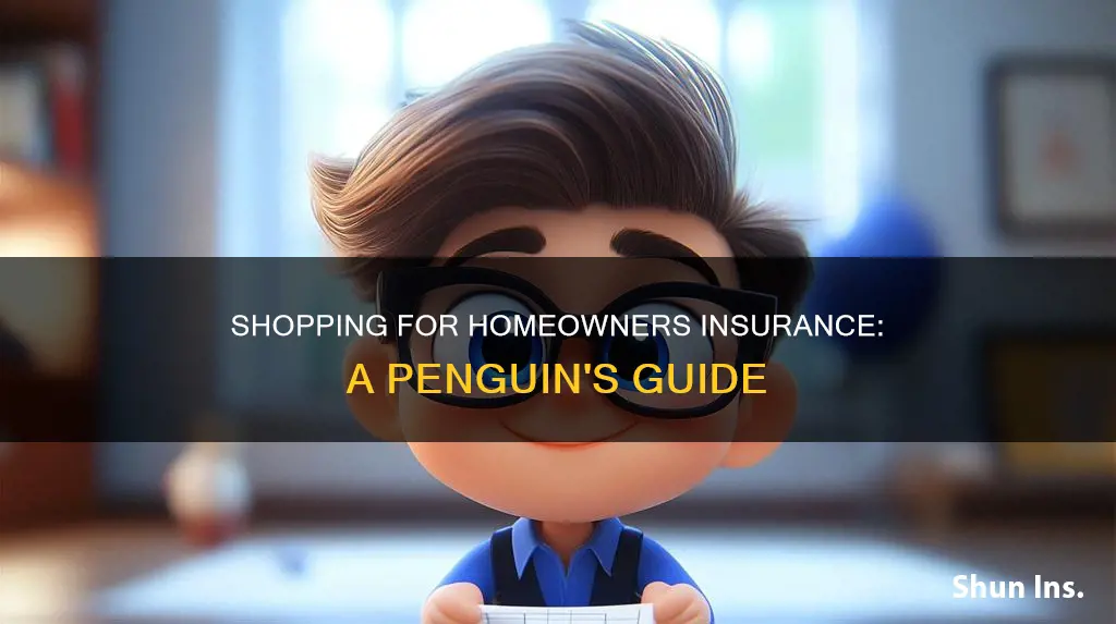 how to shop for homeowners insurance value penguin