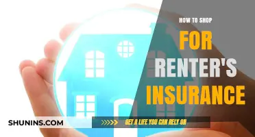 Smart Shopping Guide: Choosing the Best Renter's Insurance for You