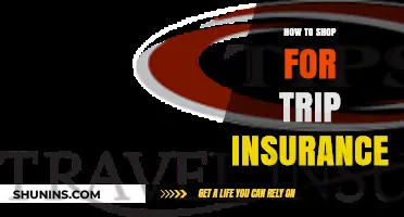 Essential Tips for Choosing the Best Trip Insurance for Your Journey