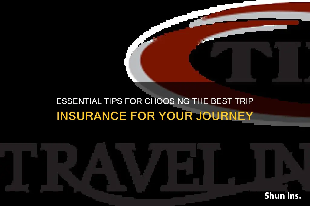 how to shop for trip insurance