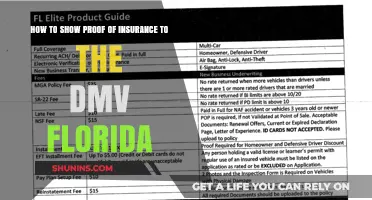 Provide Proof of Insurance to Florida DMV: Steps