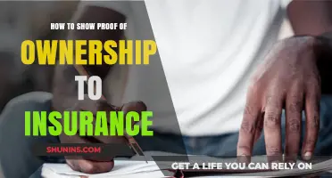 Proving Ownership to Insurance: Essential Tips for Claim Success