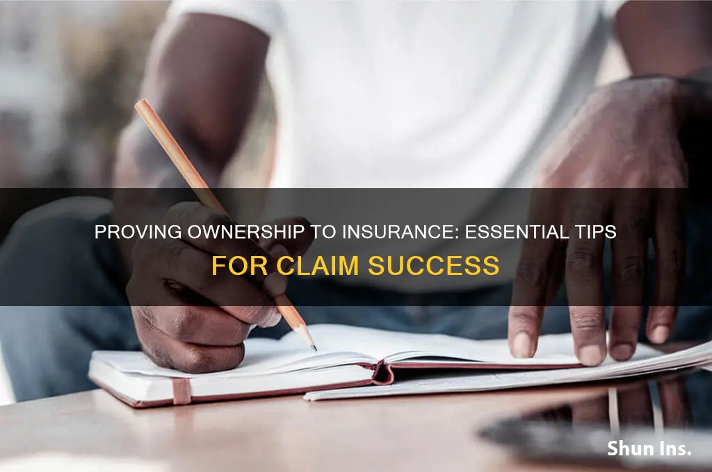 how to show proof of ownership to insurance