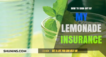 Quick Guide to Logging Out of Your Lemonade Insurance Account