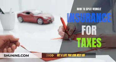 Splitting Vehicle Insurance for Taxes