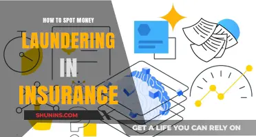 Spotting Money Laundering in Insurance: Red Flags to Watch