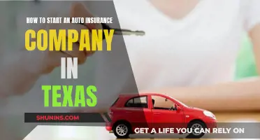 Launching an Auto Insurance Company in Texas: Getting Started