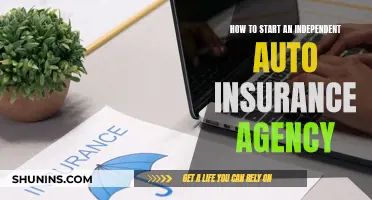 Launching Your Own Auto Insurance Agency: A Step-by-Step Guide