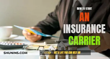 Launching an Insurance Carrier: Where to Start