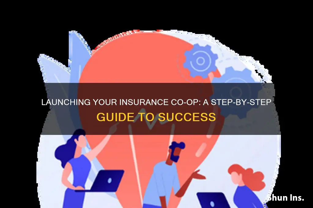 how to start an insurance co op