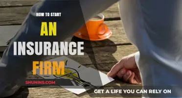 Launching Your Insurance Firm: A Comprehensive Guide to Success