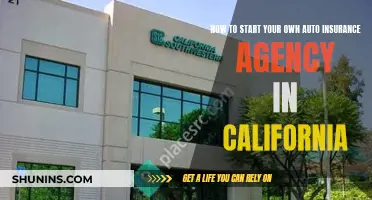 Launching Your Auto Insurance Agency in California