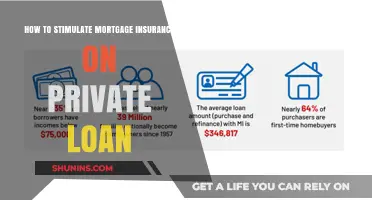 Stimulating Mortgage Insurance: Private Loan Essentials