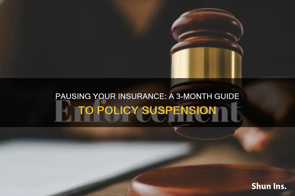 how to stop insurance for 3 months