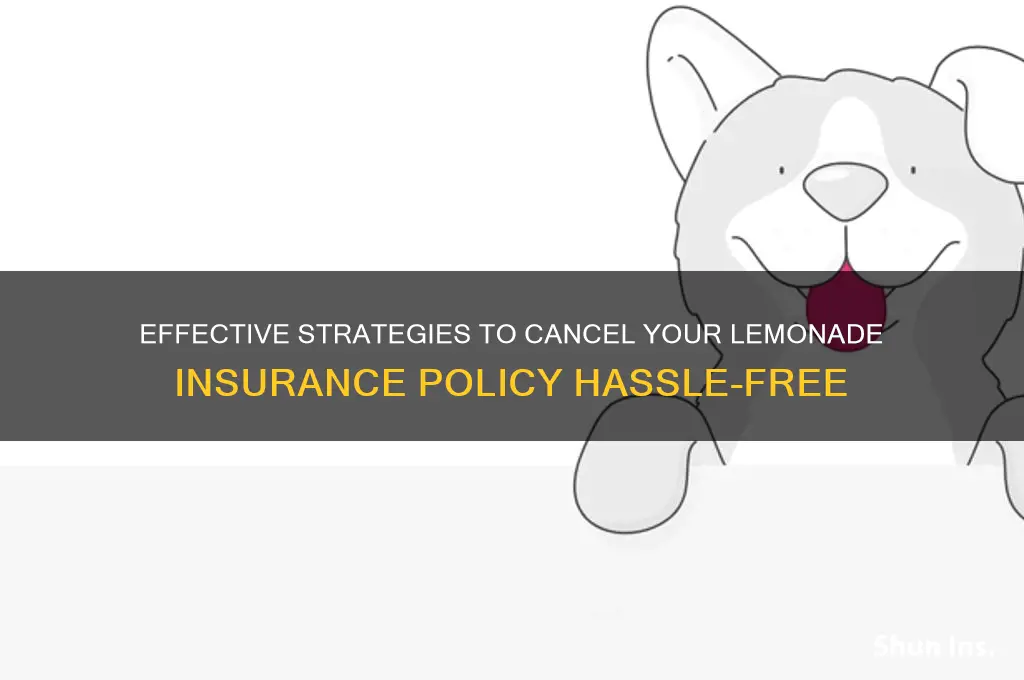 how to stop lemonade insurance