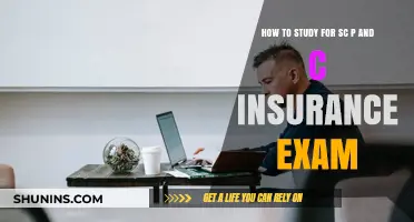Mastering the SC P&C Insurance Exam: Effective Study Strategies for Success