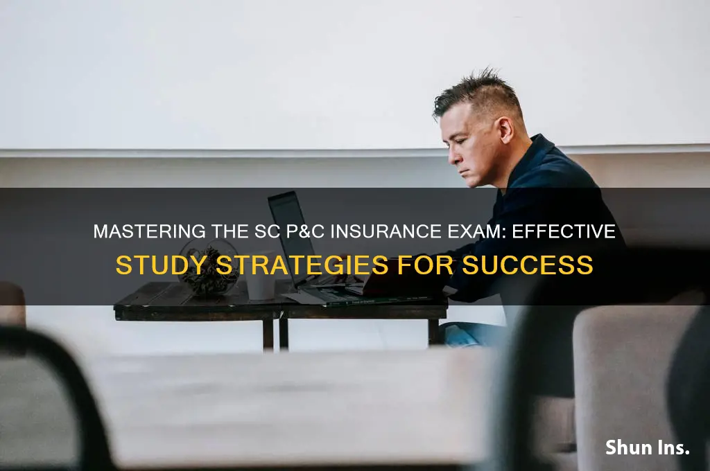 how to study for sc p and c insurance exam
