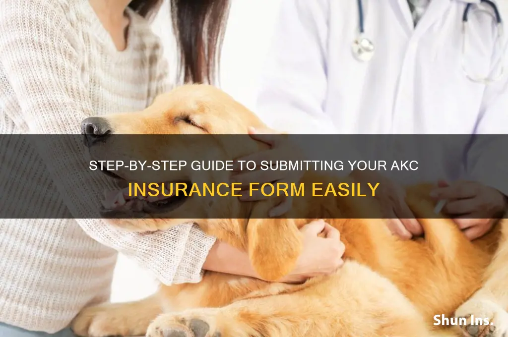 how to submit akc insurance form