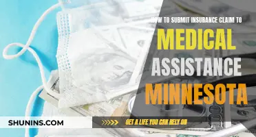 Submit Insurance Claims: Medical Assistance Minnesota Guide