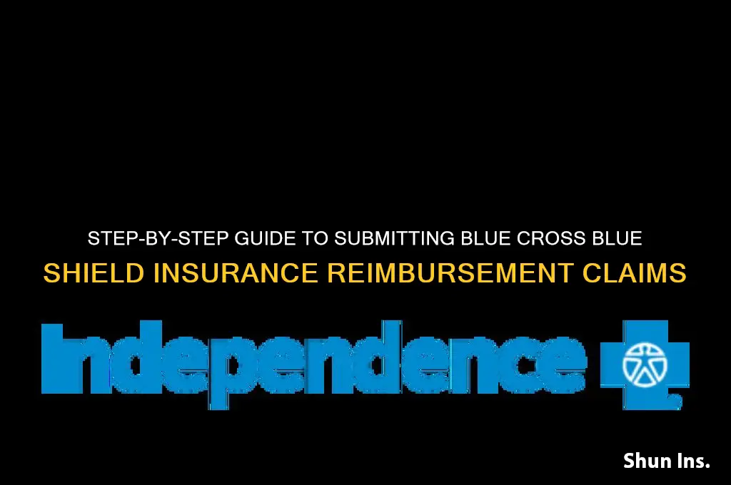 how to submit insurance reimbursement blue cross blue shield