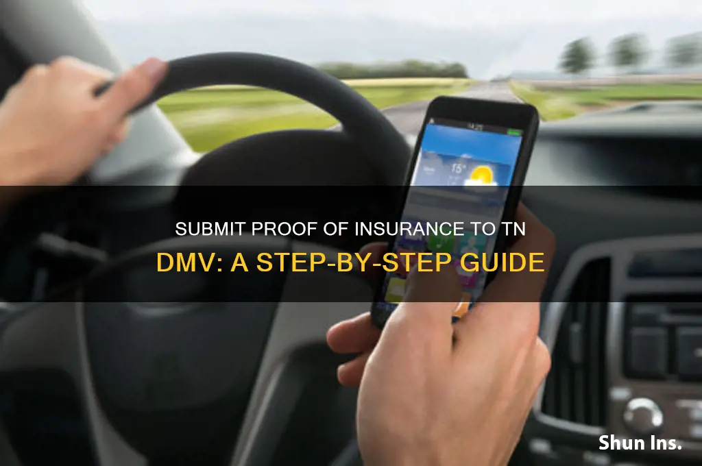 how to submit proof of insurance to dmv tn