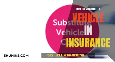 Substitute Vehicle Insurance: What You Need to Know