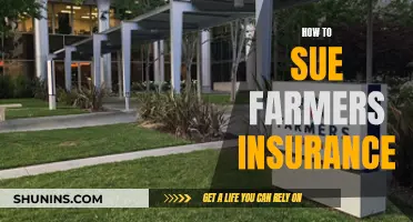 Navigating the Legal Path: Taking on Farmers Insurance in Court