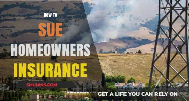 Suing Homeowners Insurance: Your Guide to Success