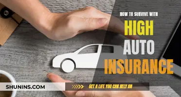 Auto Insurance: Strategies to Survive High Premiums