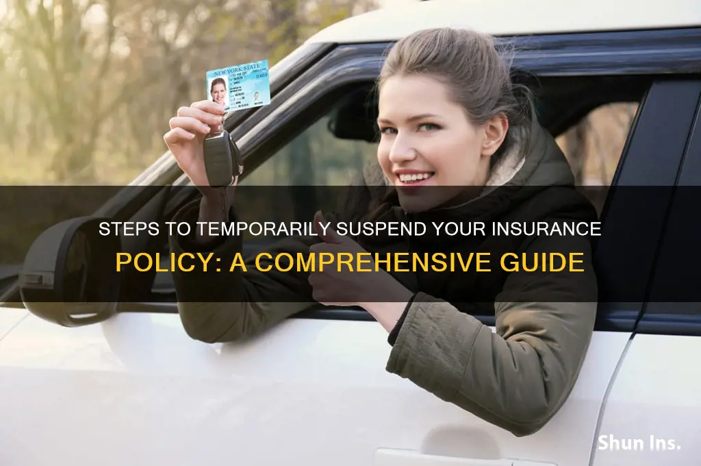 how to suspend insurance