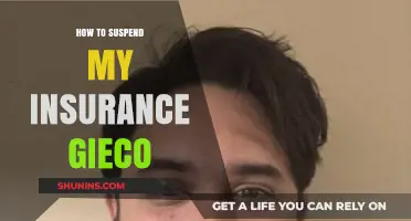 How to Temporarily Suspend Your Geico Insurance Policy: A Step-by-Step Guide