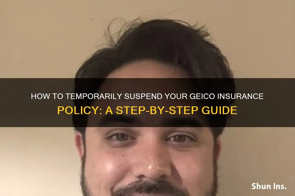 how to suspend my insurance gieco