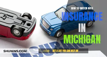 Switching Auto Insurance in Michigan: A Step-by-Step Guide