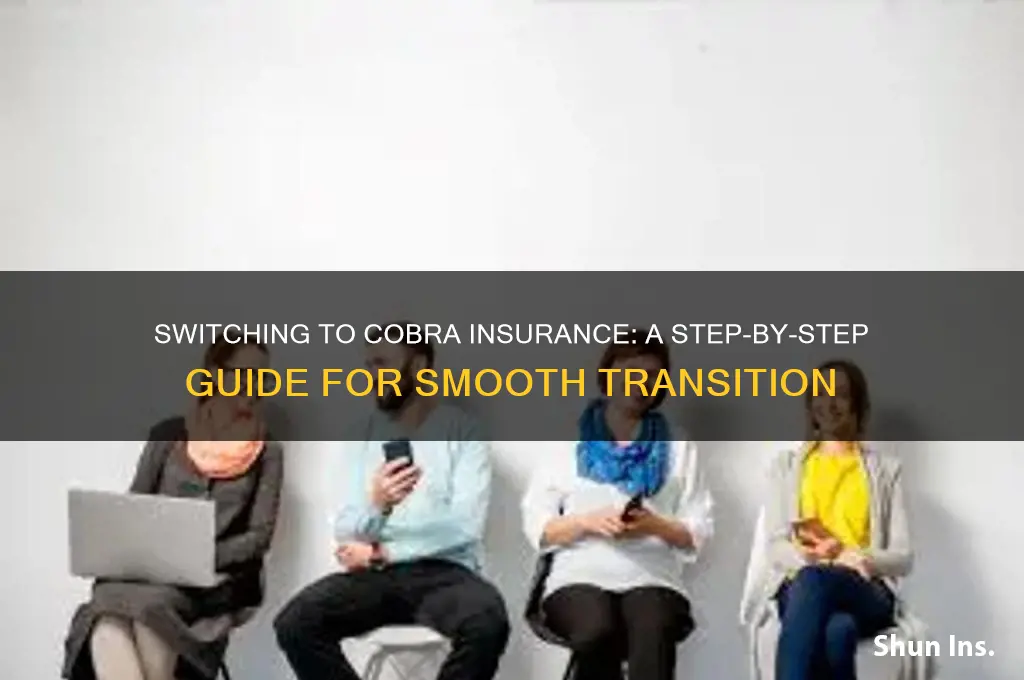 how to switch to cobra insurance