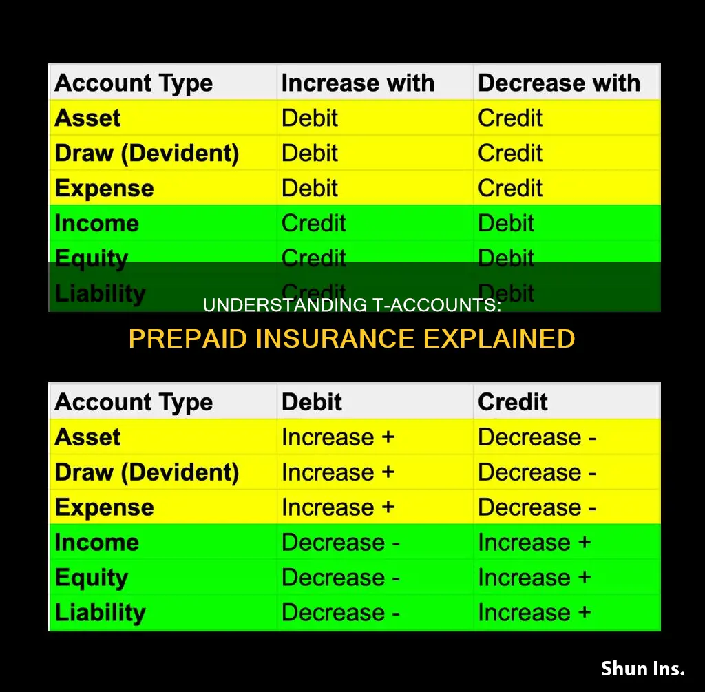 how to t account pre paid insurance
