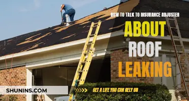 Negotiating with Your Insurance Adjuster: A Guide to Discussing Roof Leaks and Repairs