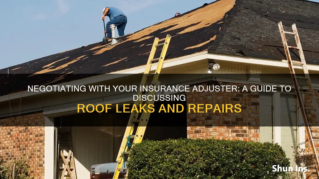 how to talk to insurance adjuster about roof leaking