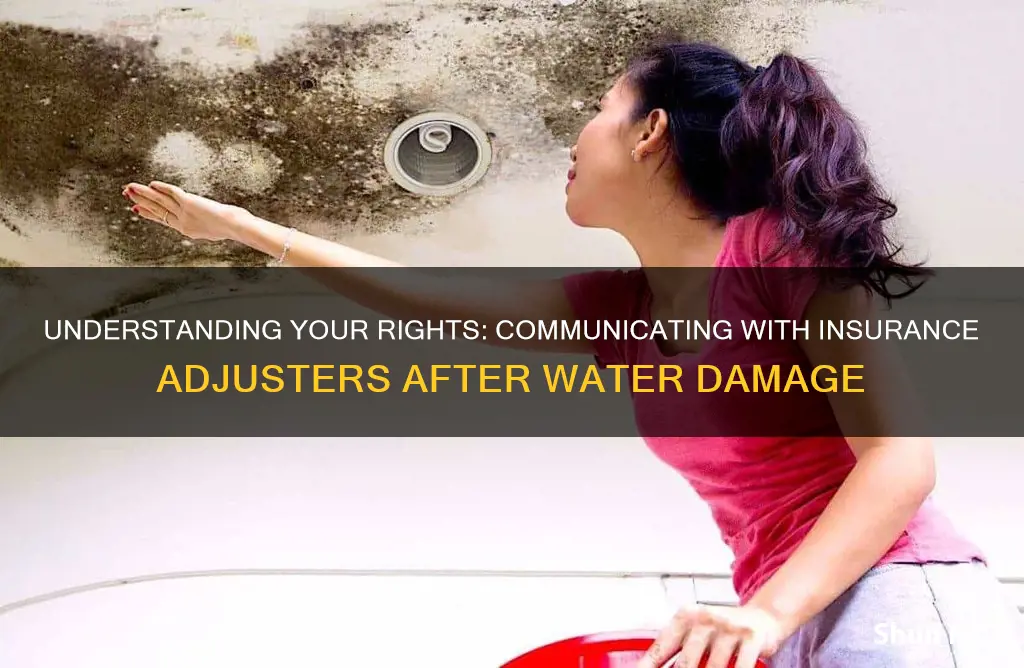 how to talk to insurance adjuster water damage