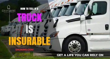 Is Your Truck Insurable? Key Factors to Check Before Buying Coverage