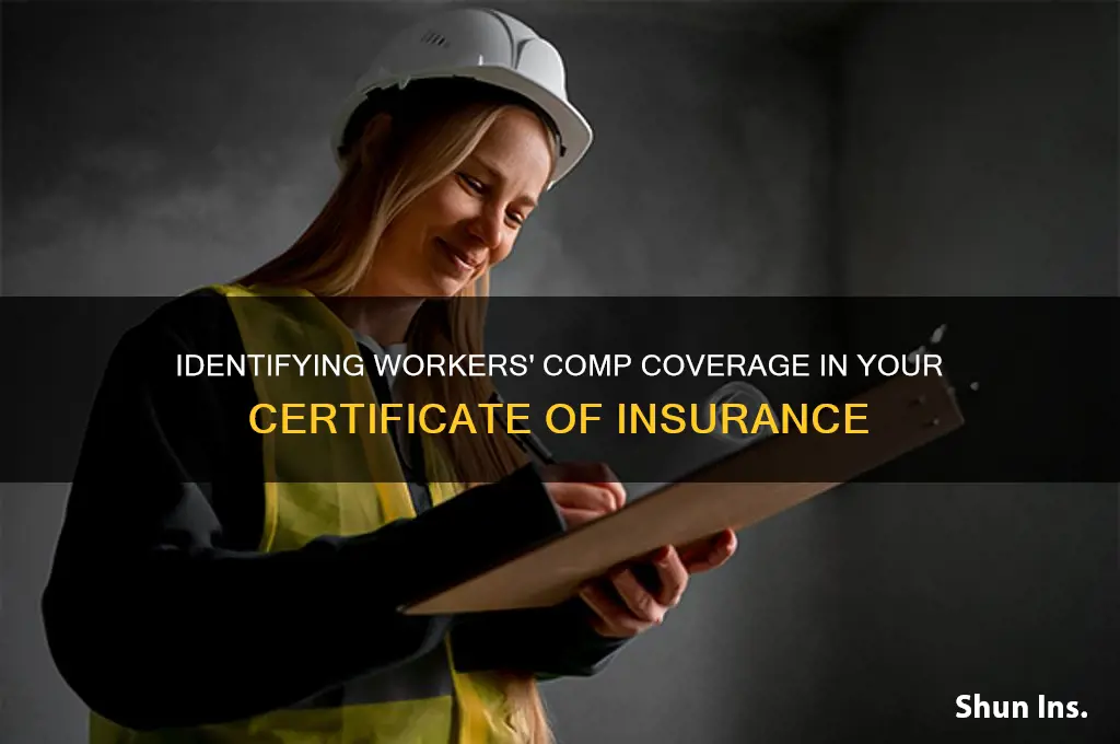 how to tell if certificate of insurance has workers comp