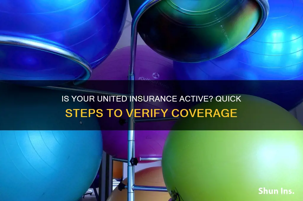 how to tell if my insurance is active united