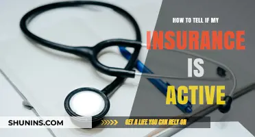 Is Your Coverage Current? How to Verify Active Insurance Status