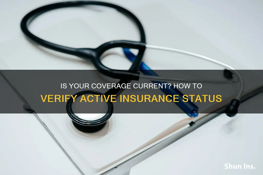 how to tell if my insurance is active