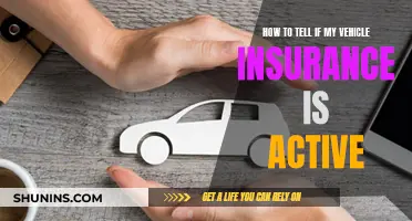 Vehicle Insurance: Active or Not?