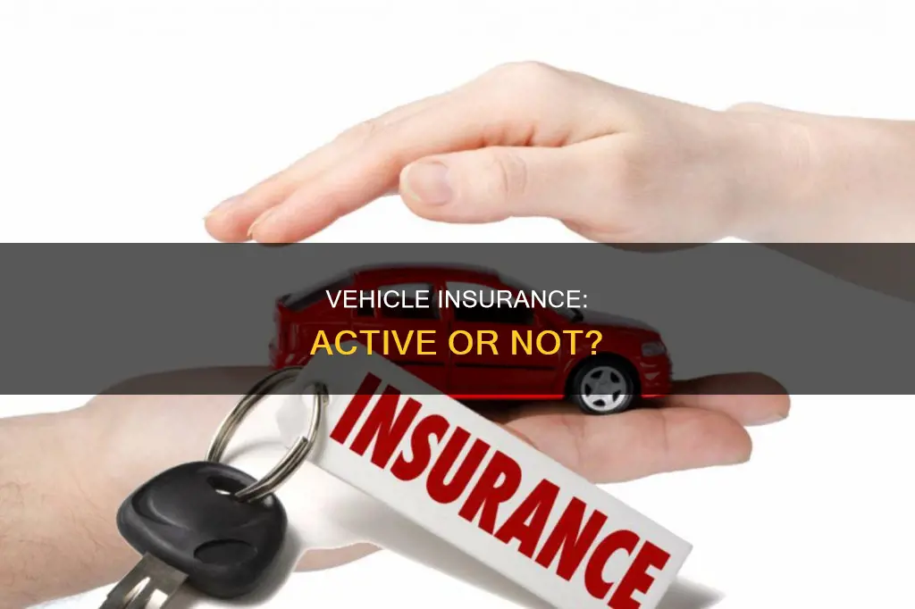 how to tell if my vehicle insurance is active