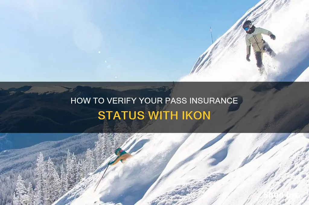 how to tell if you got pass insurance ikon