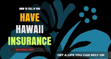 Do You Have Hawaii Insurance? Here's How to Check and Confirm