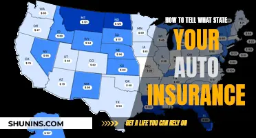 Understanding Your Auto Insurance: Coverage and Compliance