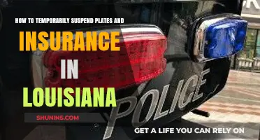 Temporarily Suspending Vehicle Plates and Insurance in Louisiana: A Step-by-Step Guide