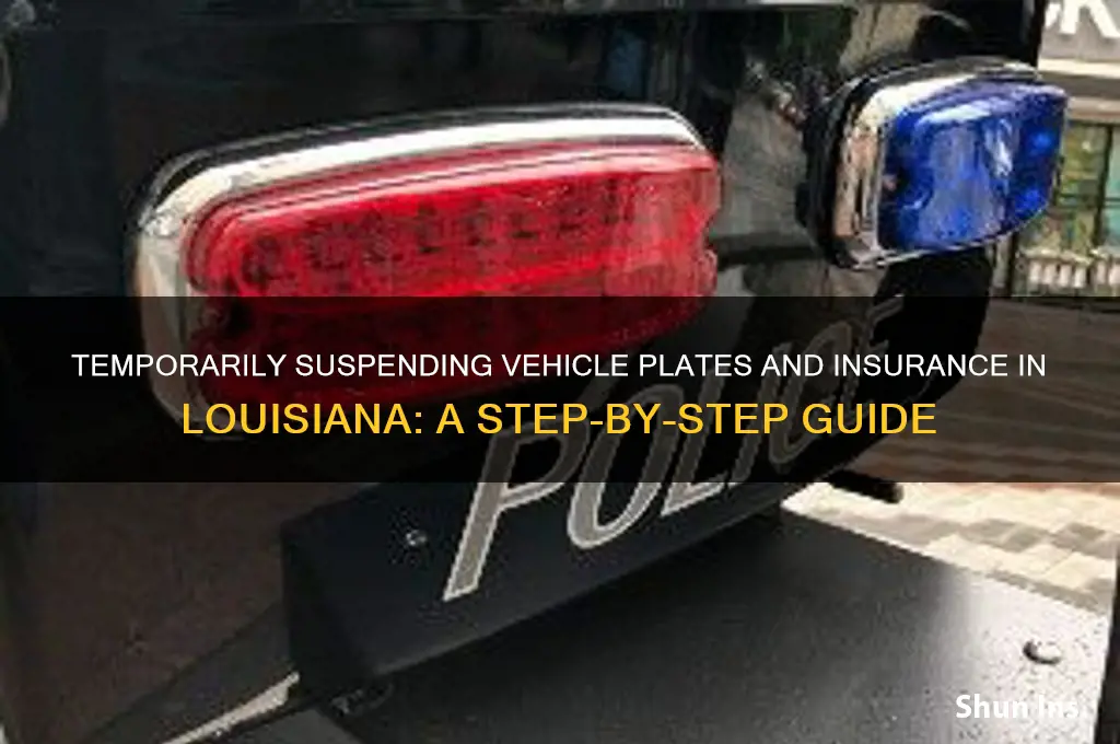 how to temporarily suspend plates and insurance in louisiana